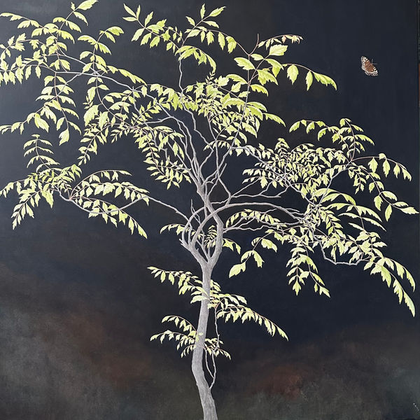 Caroline Riley, Pride of India / Speckled Wood