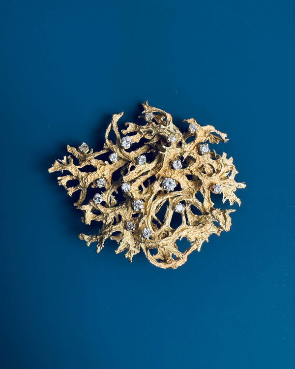 Lichen Brooch, 2025