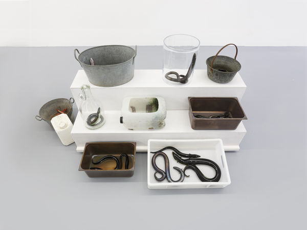 A small white shelf holds various containers with glass eels inside.