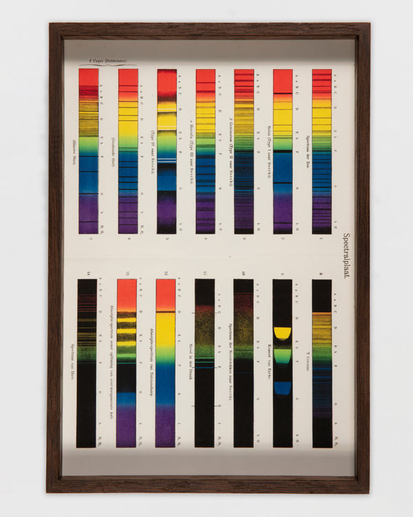 Saskia Noor van Imhoff Torpor, 2025 EHM print, smoked oak frame with museum glass 28 x 40 cm | 11 x 15 3/4 in Edition of 2 plus 1 artist's proof