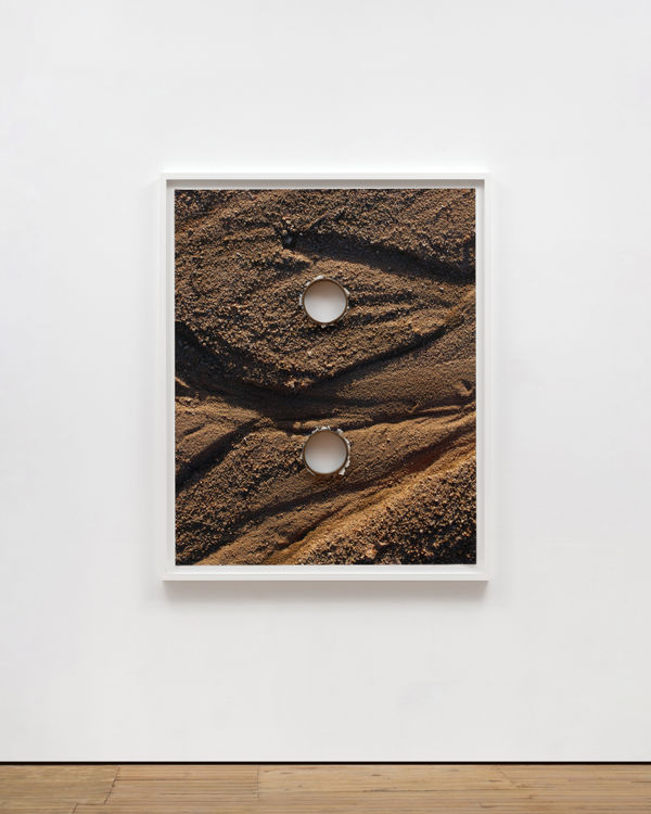 Letha Wilson, Joshua Tree Bronze Push (Washout Two Holes), 2016