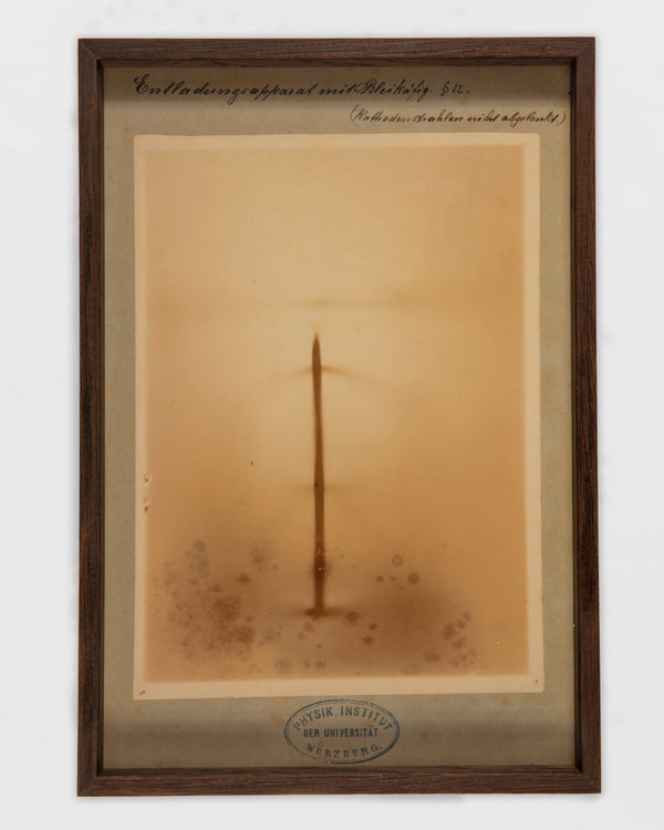 Saskia Noor van Imhoff Torpor, 2025 EHM print, smoked oak frame with museum glass 28 x 40 cm | 11 x 15 3/4 in Edition of 2 plus 1 artist's proof