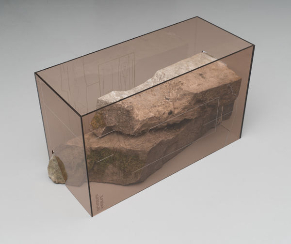 Saskia Noor van Imhoff, cross section (natural), 2020