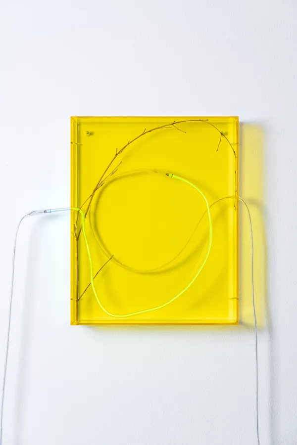 wall mounted sculptural piece made of plexiglass, neon, bamboo twig