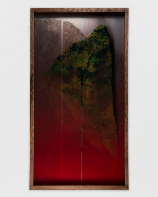 Saskia Noor van Imhoff Torpor, 2025 UV print on mirror, UV print on glass, smoked oak frame 95 x 50 x 6 cm | 37 3/8 x 19 3/4 x 2 3/8 in Edition of 2 plus 1 artist's proof