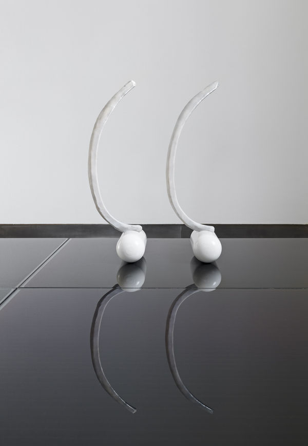 Two silicone horse ribs placed on a black shiny floor that shows their reflection and against a white wall.