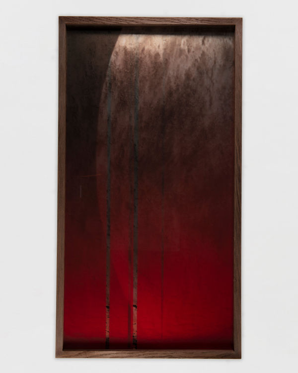 Saskia Noor van Imhoff Torpor, 2025 UV print on mirror, UV print on glass, smoked oak frame 95 x 50 x 6 cm | 37 3/8 x 19 3/4 x 2 3/8 in Edition of 2 plus 1 artist's proof