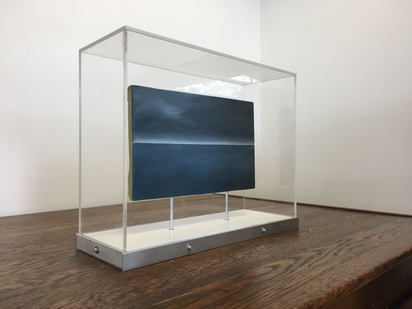 A mixed media sculpture framed in glass case.