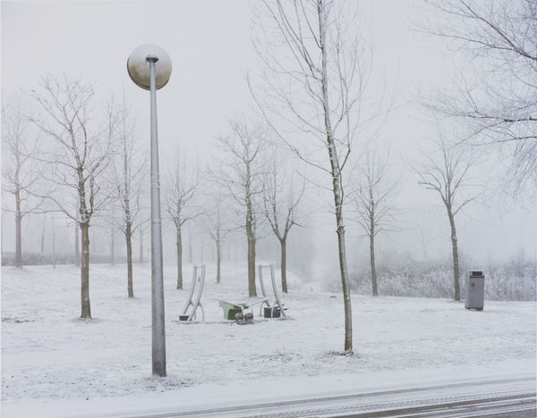 Dana Lixenberg, Westerpark, 2010