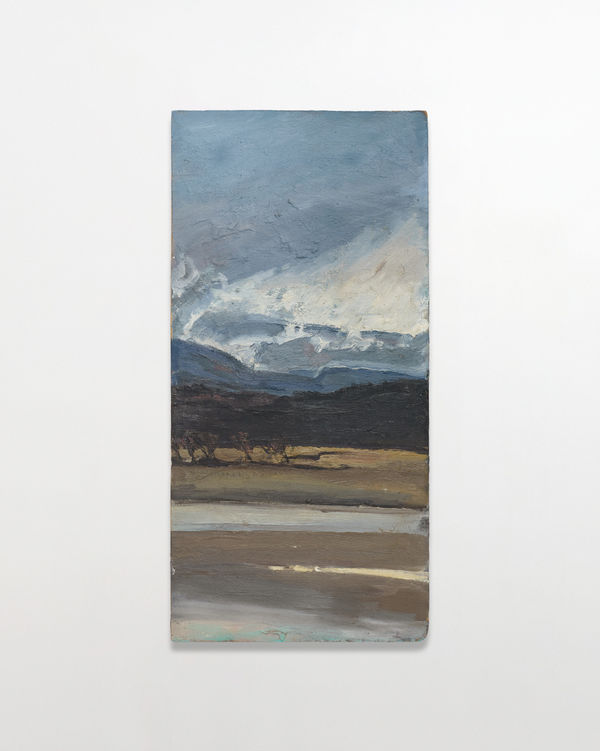 Charles Avery Untitled (Old ground, estuary), 2024 Oil on board 53 x 26 cm | 20 7/8 x 10 1/4 in