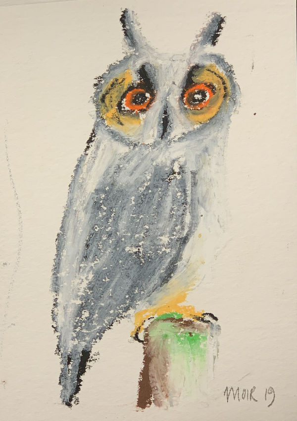 Jim Moir, Bird (Owl 8), 2019