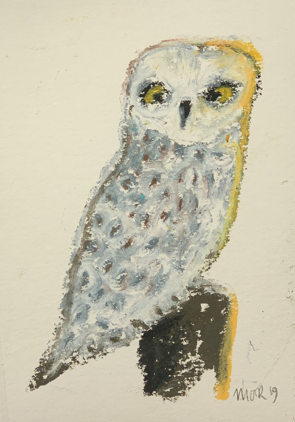 Jim Moir, Bird (Owl 5), 2019