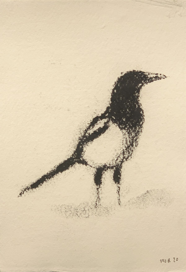 Jim Moir, Magpie 3, 2019