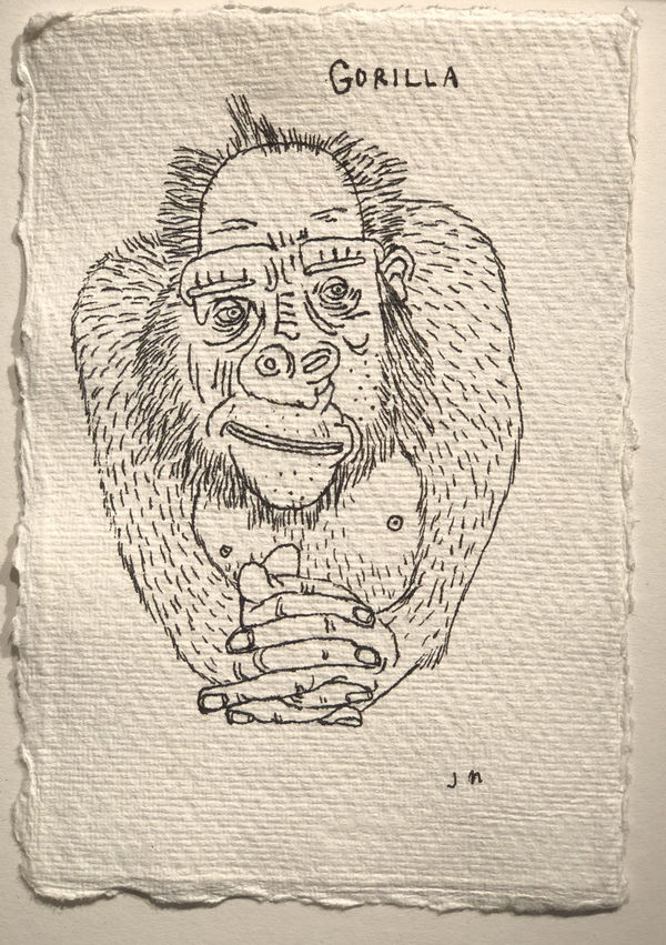 Jim Moir Gorilla 2, 2018 Ink on paper 15.5 x 11 cm