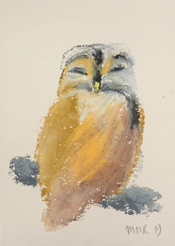 Jim Moir, Bird (Owl 6), 2019