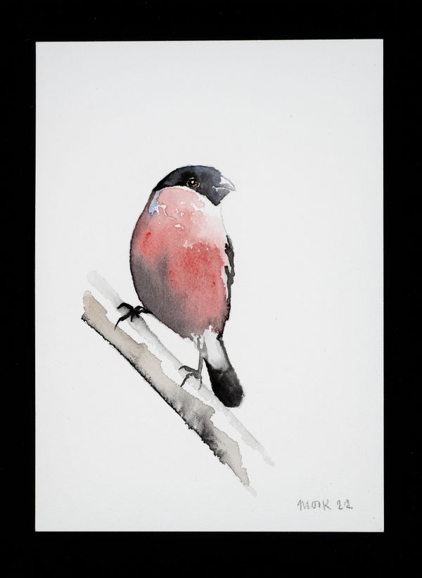 Jim Moir b. 1959Hawfinch, 2022 Signed and dated 'Moir 22' Watercolour on paper 42 x 29.7 cm 16 1/2 x 11 3/4 in