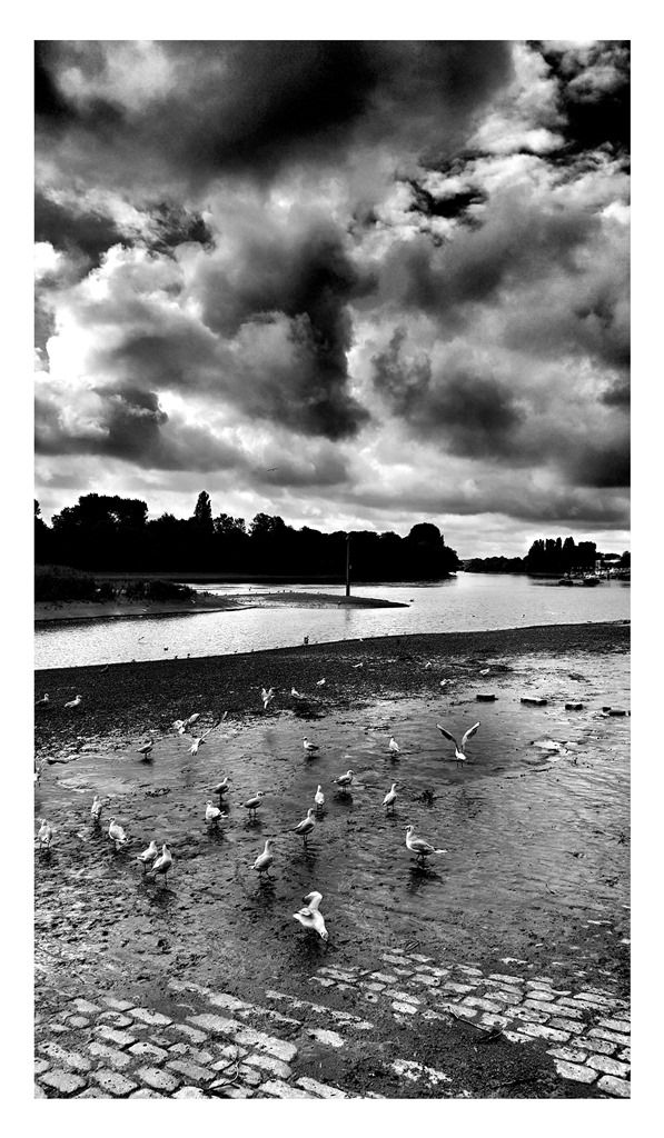 William Dalrymple, Untitled, 2016