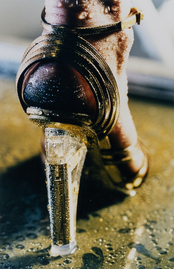 Marilyn Minter Goldi, 2003