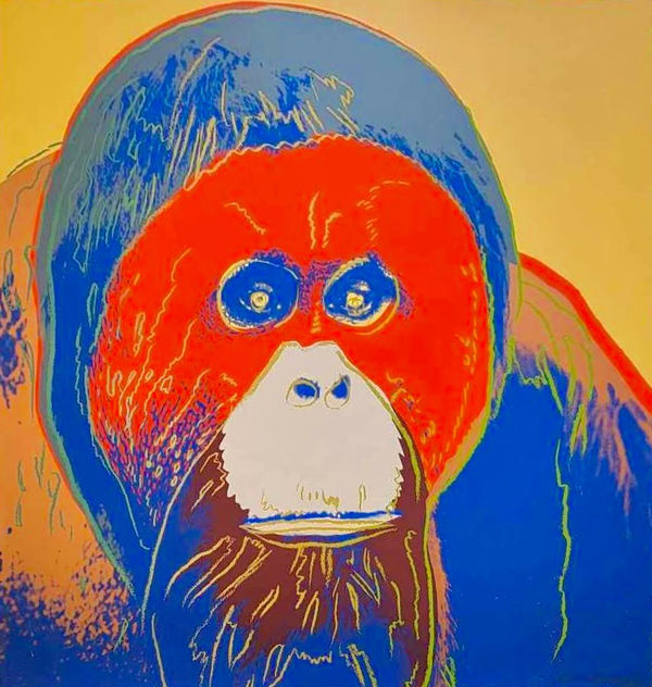 Orangutan F.S. II 299