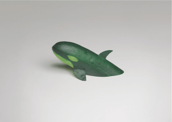 Cucumber Orca