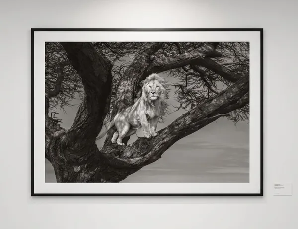 James Lewin Beyond The Horizon, 2025