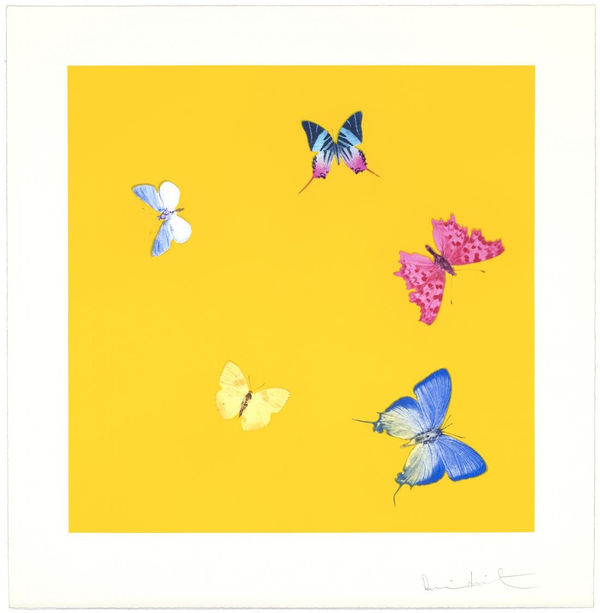 Love Poems (Sweet Disorder)