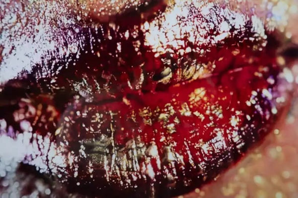 Marilyn Minter Big Red, 2022