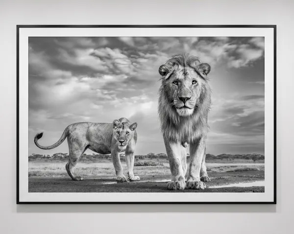 James Lewin Our Kingdom, 2023