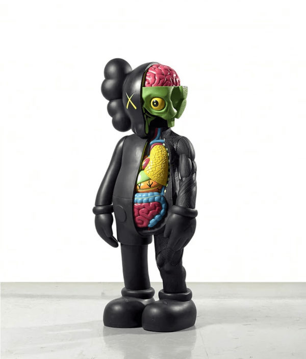 4 ft Dissected Companion