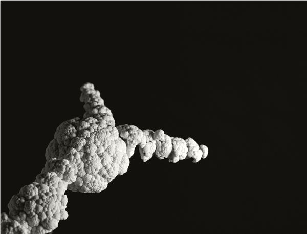 Space Shuttle Challenger: Explosion in Cauliflower