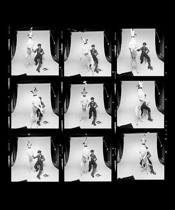David Bowie Contact Sheet