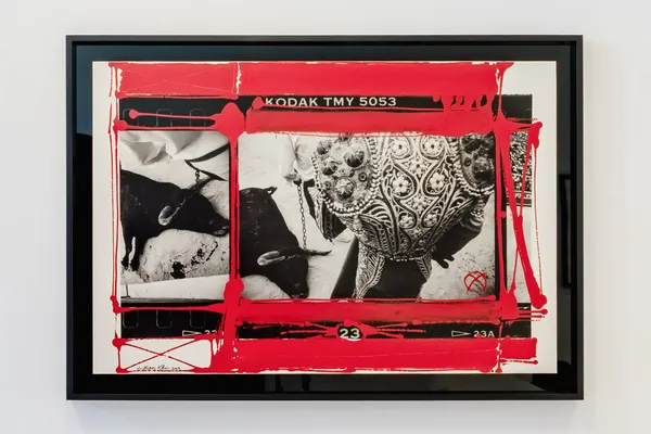 WILLIAM KLEIN, Dead Bull, Feria de Nimes, 1986