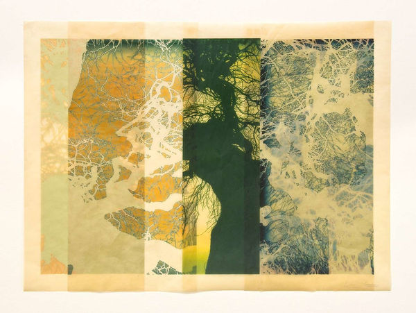 DOUG AND MIKE STARN, The No Mind Not Thinks No Things rinret, 2013-19