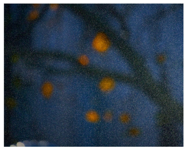 OLI KELLETT, Fountains #02, 2024