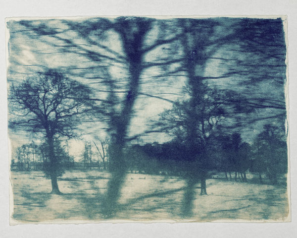 KATJA LIEBMANN, Langsamkeit 8 , 2024