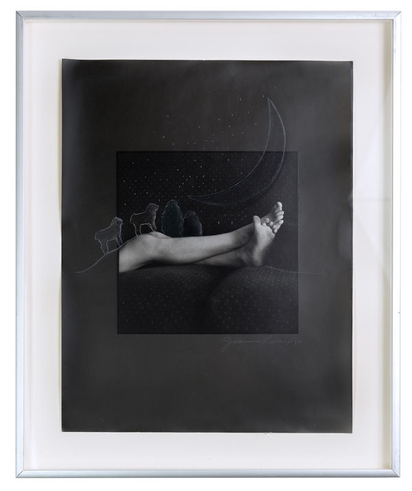 JOANNE LEONARD, Fantasy Feet II, 1984