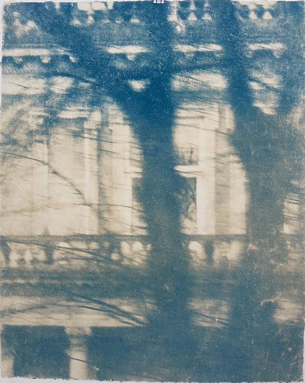 KATJA LIEBMANN, Windows 6 toned, 1996-2020