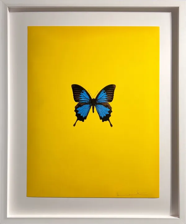 Damien Hirst, It's a Beautiful Day (No. 3), 2013