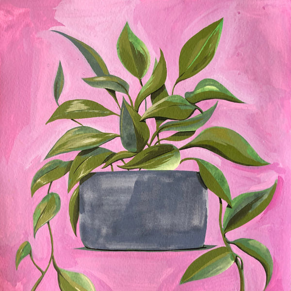 Dennis Brown's painting of a potted plant with a pink background