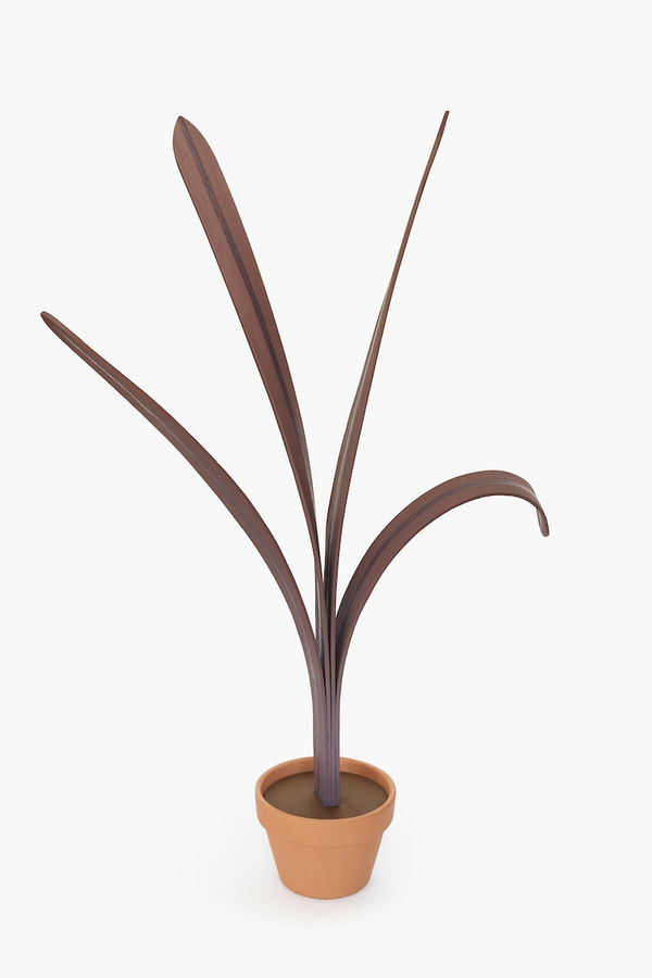 Jeff Canham, Untitled 28, 2021