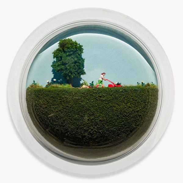 Abigail Goldman, Grass Is Always Greener, 2017