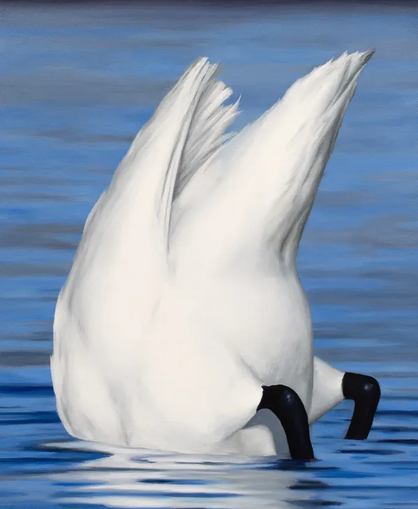 painting of a swan diving into blue water