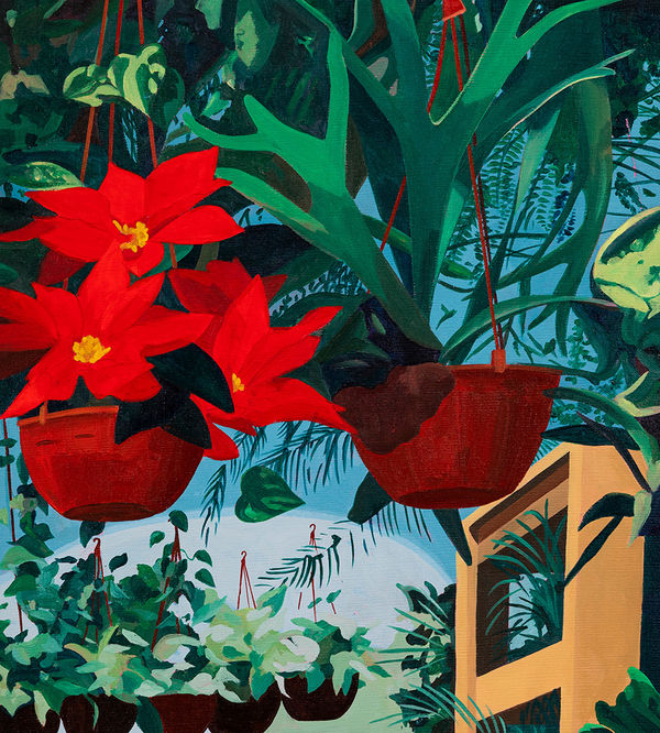 Painting of red poinsettia in a hanging pot. In the distance you can see several more hanging pots that are on the ground.