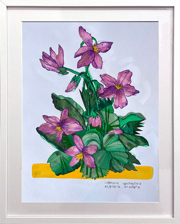 framed David Heo collage of purple flowers and green leaves on a white background