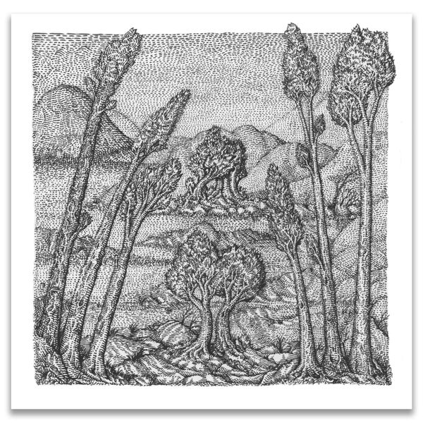 David Welker, The Inlet, 2019