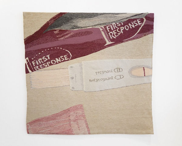 Erin M. Riley, Not Pregnant, 2013