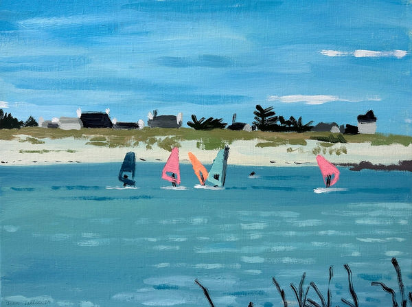 group of people windsurfing