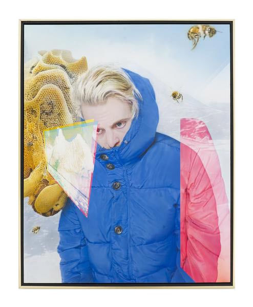 Jeff Jacobson, Augmented Extinction, 2017