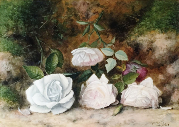 Charles Ethan Porter Untitled Still Life (Four white roses), c. 1884 Watercolor on Paper 10 1/4" x 14"