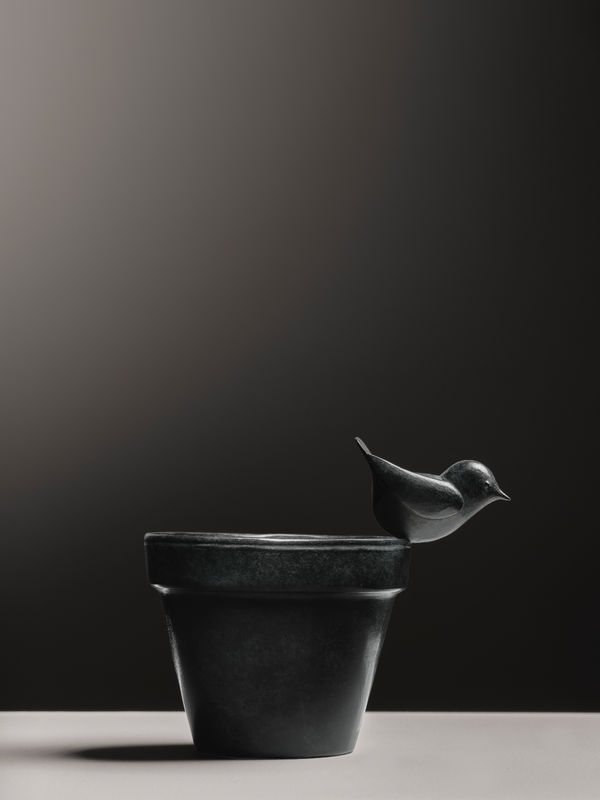 FRANÇOIS-XAVIER LALANNE, Le Roitelet, 2003